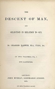 El origen del hombre de Darwin